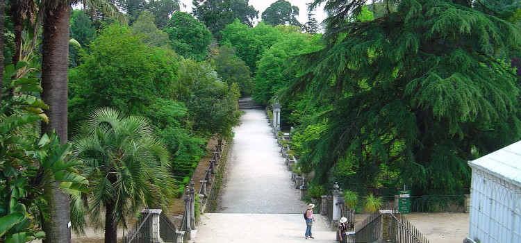 Botanical Garden of the University of Coimbra Botanical Garden of the University of Coimbra